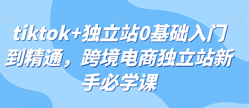 tiktok+独立站0基础入门到精通，跨境电商独立站新手必学课-升阶有道