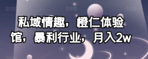 私域情趣,橙仁体验馆,暴利行业,月入2w【揭秘】-升阶有道