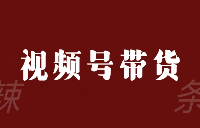 视频号带货联盟，赚信息差的带货钱，只需手机随时随地都可以做！-升阶有道