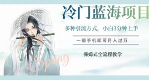 冷门蓝海项目，操作简单，小白3分钟上手，多种引流方式，保姆式全流程教学【揭秘】-升阶有道