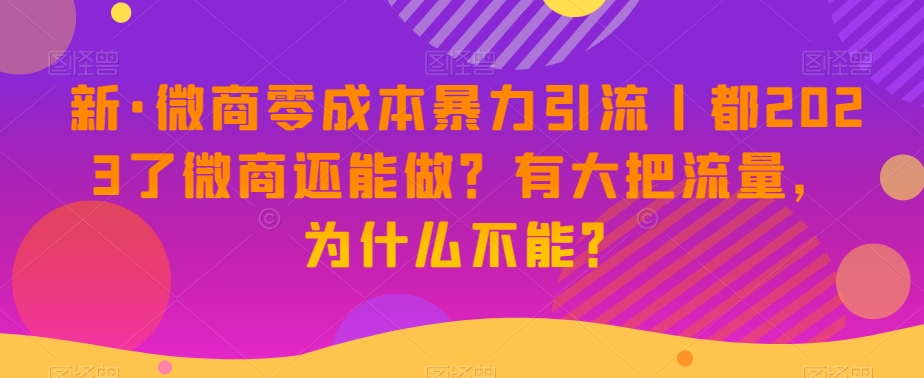 新·微商零成本暴力引流丨都2023了微商还能做？有大把流量，为什么不能？-升阶有道