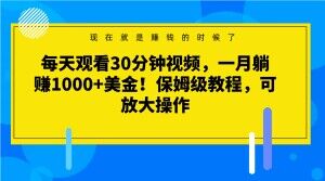 每天观看30分钟视频，一月躺赚1000+美金！保姆级教程，可放大操作【揭秘】-升阶有道