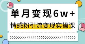 单月变现6W+，抖音情感粉引流变现实操课，小白可做，轻松上手，独家赛道【揭秘】-升阶有道
