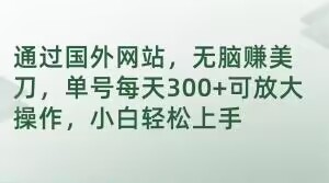 通过国外网站，无脑赚美刀，单号每天300+可放大操作，小白轻松上手【揭秘】-升阶有道
