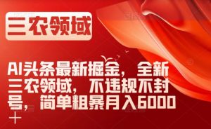 AI头条最新掘金,全新三农领域,不违规不封号,简单粗暴月入6000+【揭秘】-升阶有道