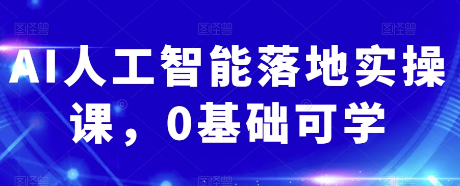 AI人工智能落地实操课，0基础可学-升阶有道