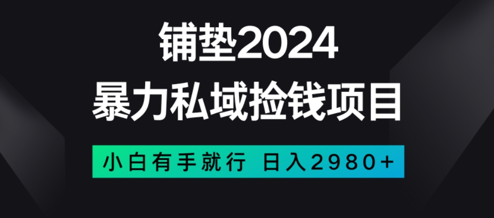 暴力私域捡钱项目，小白无脑操作，日入2980【揭秘】-升阶有道