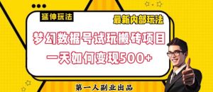 数据号回归玩法游戏试玩搬砖项目再创日入500+【揭秘】-升阶有道