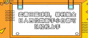 卖莆田篮球鞋,暴利掘金日入四位数新手小白都可以轻松上手【揭秘】-升阶有道