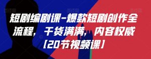 短剧编剧课-爆款短剧创作全流程,干货满满,内容权威【20节视频课】-升阶有道