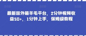 最新国外薅羊毛平台，2分钟视频收益50+，1分钟上手，保姆级教程【揭秘】-升阶有道