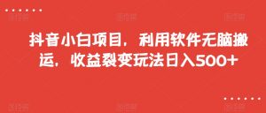 抖音小白项目，利用软件无脑搬运，收益裂变玩法日入500+【揭秘】-升阶有道