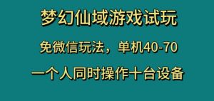 梦幻仙域游戏试玩,免微信玩法,单机40-70,一个人同时操作十台设备【揭秘】-升阶有道