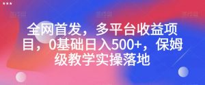 全网首发,多平台收益项目,0基础日入500+,保姆级教学实操落地【揭秘】-升阶有道