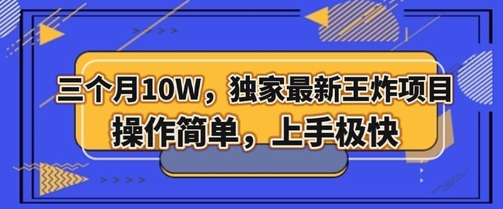 三个月10W，独家最新王炸项目！操作简单，上手极快【揭秘】-升阶有道