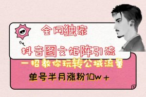 全网独家抖音图文矩阵引流，一招教你玩转公域流量，单号半月涨粉10w+【揭秘】-升阶有道