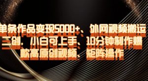 单条作品变现5000+、外网视频搬运二创,小白可上手,10分钟制作爆款高原创视频,矩阵操作【揭秘】-升阶有道