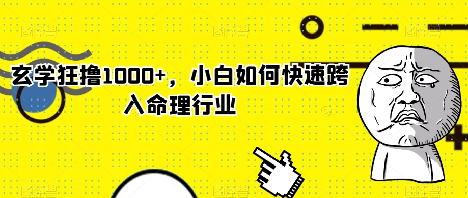 玄学狂撸1000+，小白如何快速跨入命理行业【揭秘】-升阶有道
