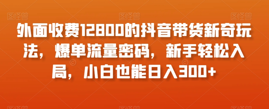 外面收费12800的抖音带货新奇玩法，爆单流量密码，新手轻松入局，小白也能日入300+【揭秘】-升阶有道