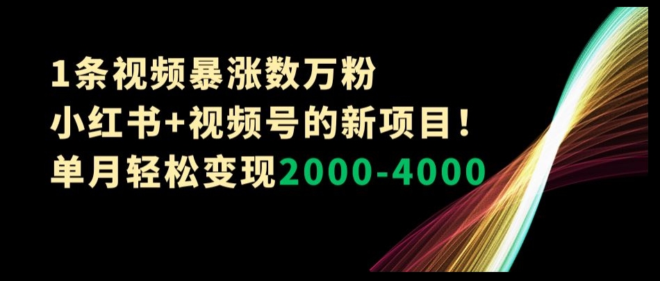 1条视频暴涨数万粉–小红书+视频号的新项目！单月轻松变现2000-4000【揭秘】-升阶有道