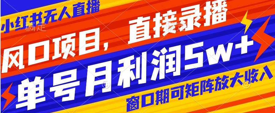 风口项目，小红书无人直播带货，直接录播，可矩阵，月入5w+【揭秘】-升阶有道