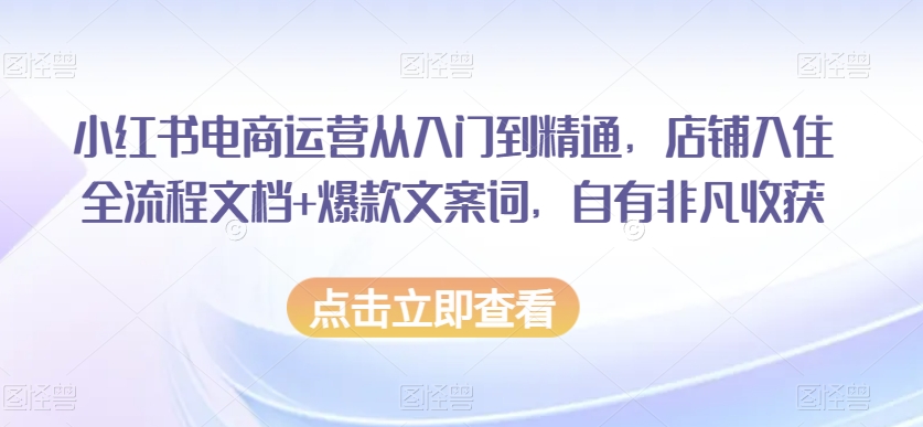小红书电商运营从入门到精通，店铺入住全流程文档+爆款文案词，自有非凡收获-升阶有道