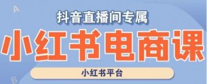 小红书电商高级运营课程,实操教学+案例分析-升阶有道