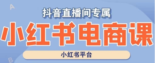 小红书电商高级运营课程，实操教学+案例分析-升阶有道