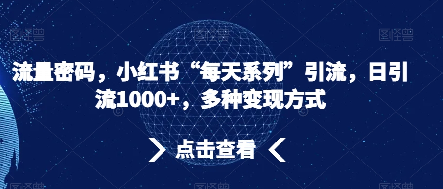 流量密码，小红书“每天系列”引流，日引流1000+，多种变现方式【揭秘】-升阶有道