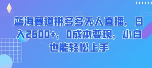 蓝海赛道拼多多无人直播,日入2600+,0成本变现,小白也能轻松上手【揭秘】-升阶有道