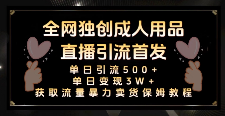 全网独创真人主播+无人直播单日引流500+，橙人用品暴力卖货单日变现3W+保姆似教学2.0【揭秘】-升阶有道