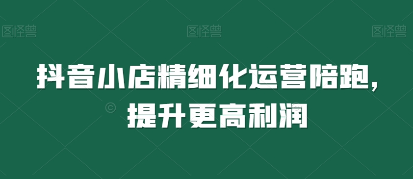 抖音小店精细化运营陪跑，提升更高利润-升阶有道