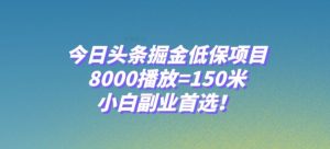 今日头条掘金低保项目,8000播放=150米,小白副业首选【揭秘】-升阶有道