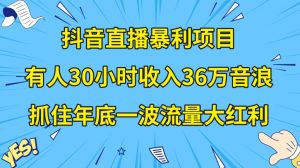 抖音直播暴利项目，有人30小时收入36万音浪，公司宣传片年会视频制作，抓住年底一波流量大红利【揭秘】-升阶有道