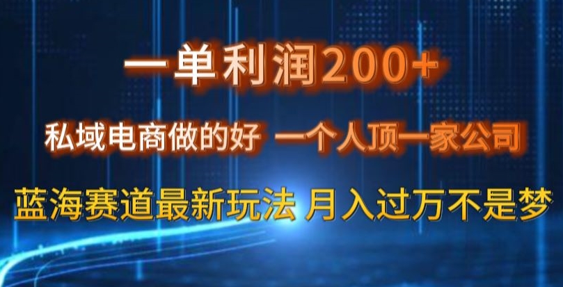 一单利润200私域电商做的好，一个人顶一家公司蓝海赛道最新玩法【揭秘】-升阶有道