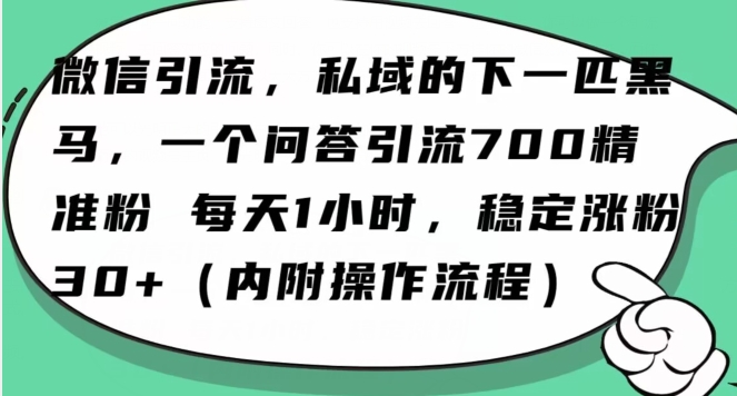 怎么搞精准创业粉？微信新赛道，每天一小时，利用Ai一个问答日引100精准粉-升阶有道