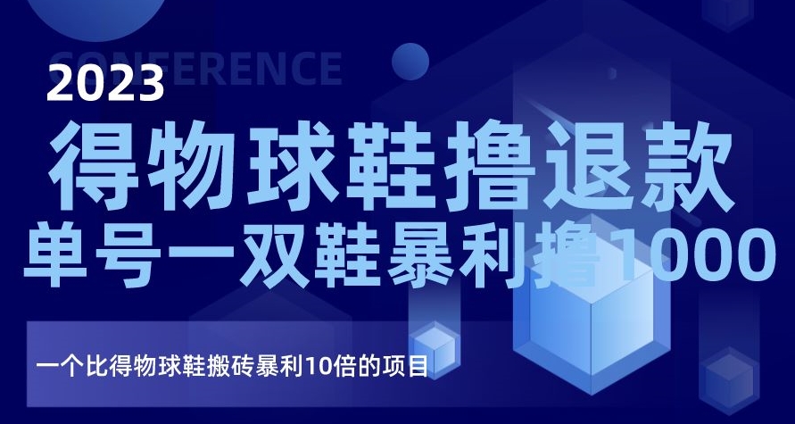 2023得物球鞋撸退款，单号一双鞋暴利撸1000，一个比得物球鞋搬砖暴利10倍的项目【揭秘】-升阶有道