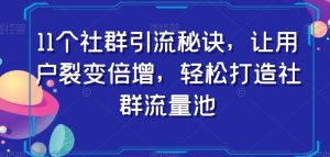 11个社群引流秘诀,让用户裂变倍增,轻松打造社群流量池-升阶有道