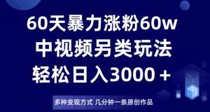 60天暴力涨粉60W，中视频另类玩法，日入3000＋，几分钟一条原创作品多种变现方式-升阶有道