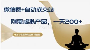 十万个富翁修炼宝典之8.微信群+自动成交站,刚需虚拟产品,一天200+-升阶有道