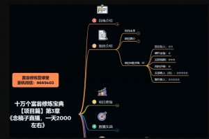 十万个富翁修炼宝典之3.念稿子直播,一天2000左右-升阶有道
