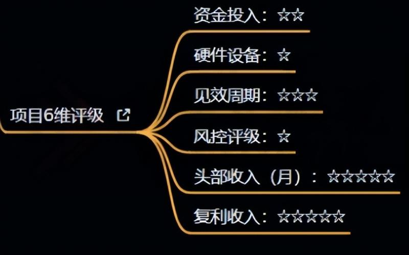 十万个富翁修炼宝典之4.一个大学生操作这个项目，一个月能搞一万-升阶有道
