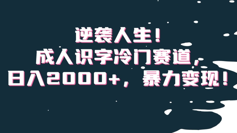 逆袭人生！成人识字冷门赛道，日入2000+，暴力变现！【揭秘】-升阶有道