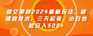 图文带货2024最新玩法，破播放技术，三天起号，小白也能日入500+【揭秘】-升阶有道