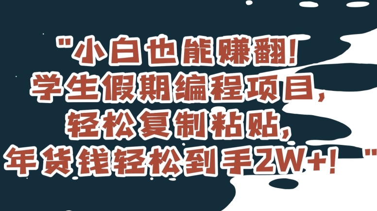 小白也能赚翻！学生假期编程项目，轻松复制粘贴，年货钱轻松到手2W+【揭秘】-升阶有道