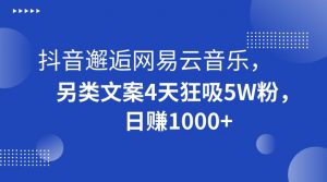 抖音邂逅网易云音乐，另类文案4天狂吸5W粉，日赚1000+【揭秘】-升阶有道