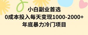 小白副业首选，0成本投入，每天变现1000-2000年底暴力冷门项目【揭秘】-升阶有道