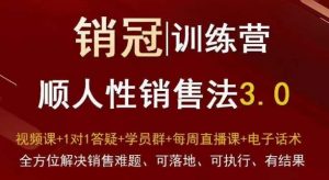 爆款!销冠训练营3.0之顺人性销售法,全方位解决销售难题、可落地、可执行、有结果-升阶有道
