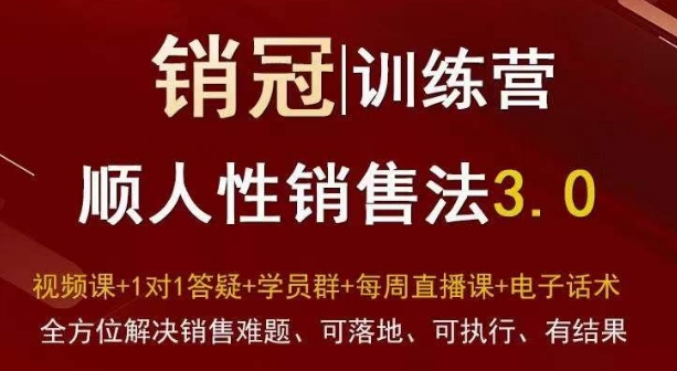 爆款！销冠训练营3.0之顺人性销售法，全方位解决销售难题、可落地、可执行、有结果-升阶有道