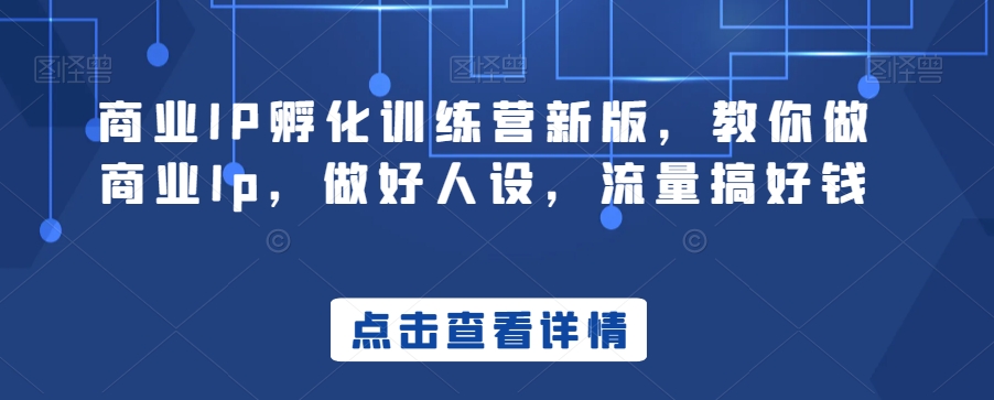 商业IP孵化训练营新版，教你做商业Ip，做好人设，流量搞好钱-升阶有道